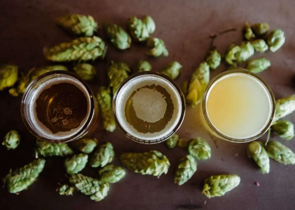 What Are The 4 Essential Ingredients Of Beer? Find Out Here ...